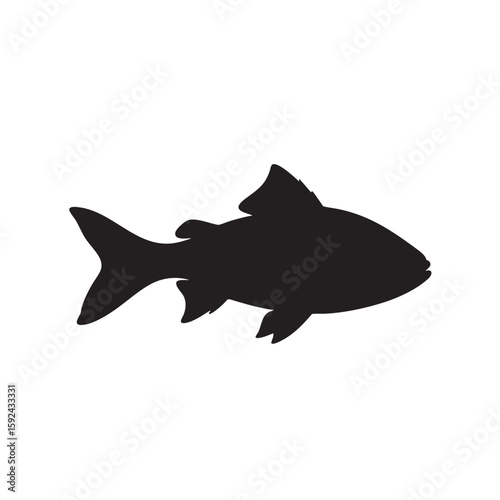 A Silhouetted Image of a Fin Tailed Fish swimming to the right