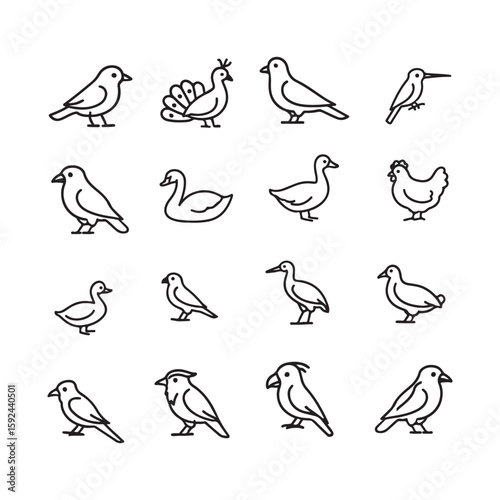 Vector Collection of Various Bird Line Art Illustrations