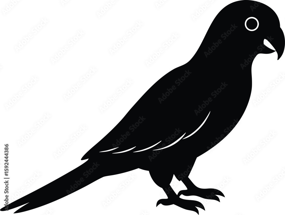 Obraz premium Flying parrot across sunset sky , graceful bird silhouette design