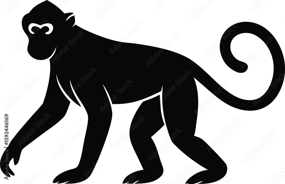 Obraz premium Curious Monkey Standing Alone, Bold Silhouette Scene