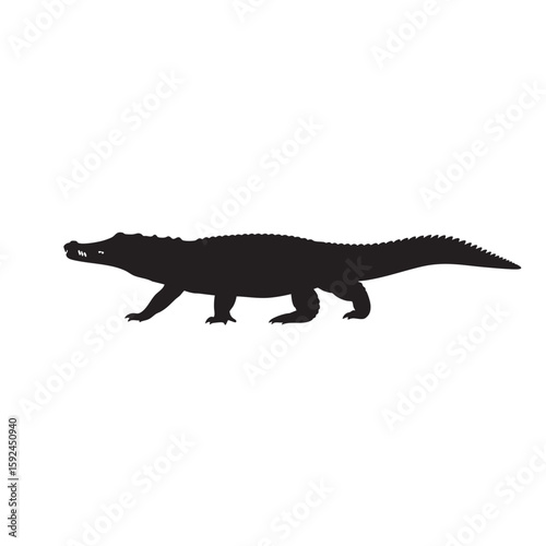Silhouette of a powerful and formidable alligator walking across a white background