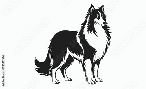 Collie dog silhouette, herding breed vector, domestic animal icon, Lassie dog silhouette vector illustration 