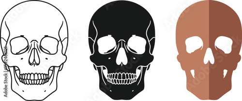 Three skull illustrations showcase diverse styles, from a detailed line drawing to a solid black silhouette and a modern brown design, perfect for Halloween or gothic themes.
