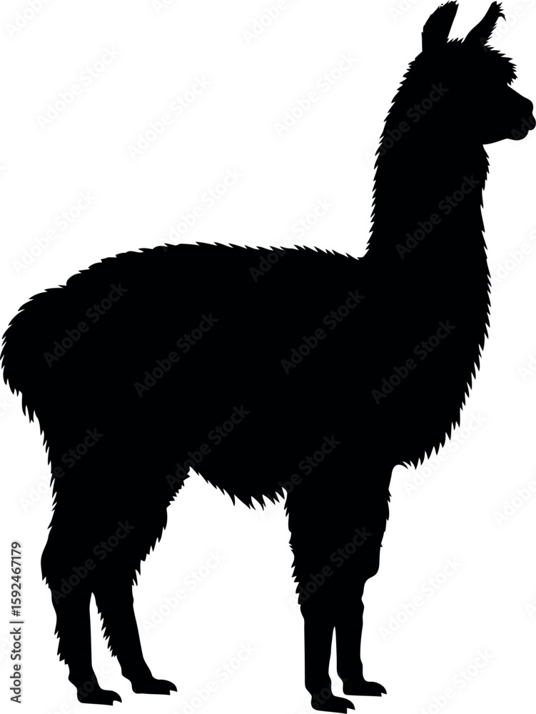 Fototapeta premium Llama silhouette minimalist animal vector
