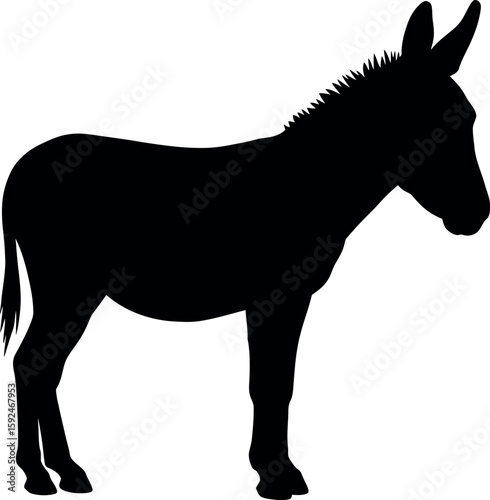Black donkey silhouette