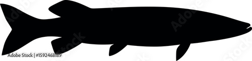 Musky fish silhouette