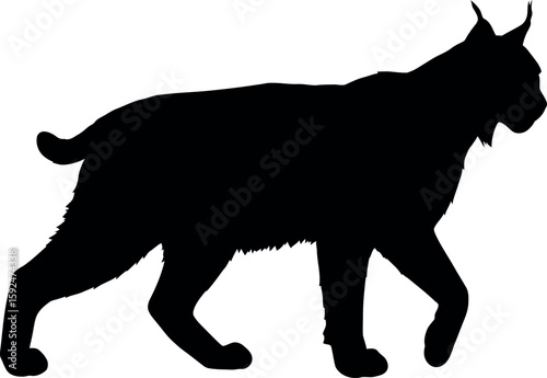 Lynx silhouette walking side view black and white