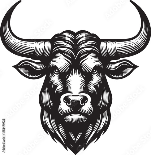bull head isolated on white