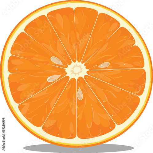 Orange fruit slice vector illustration with vibrant orange color and fresh juicy texture in flat style