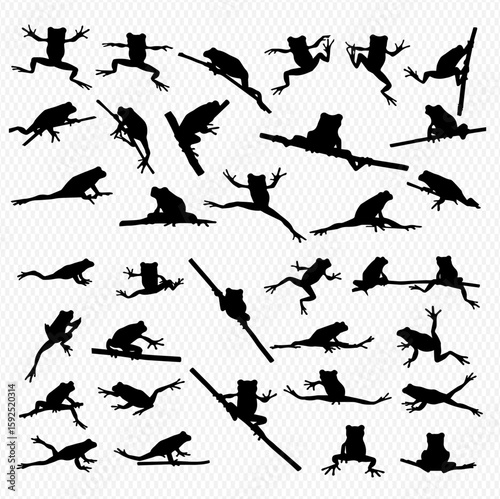 A collection of frog silhouettes in various poses, some perched on branches, others leaping, all set against a transparent background.