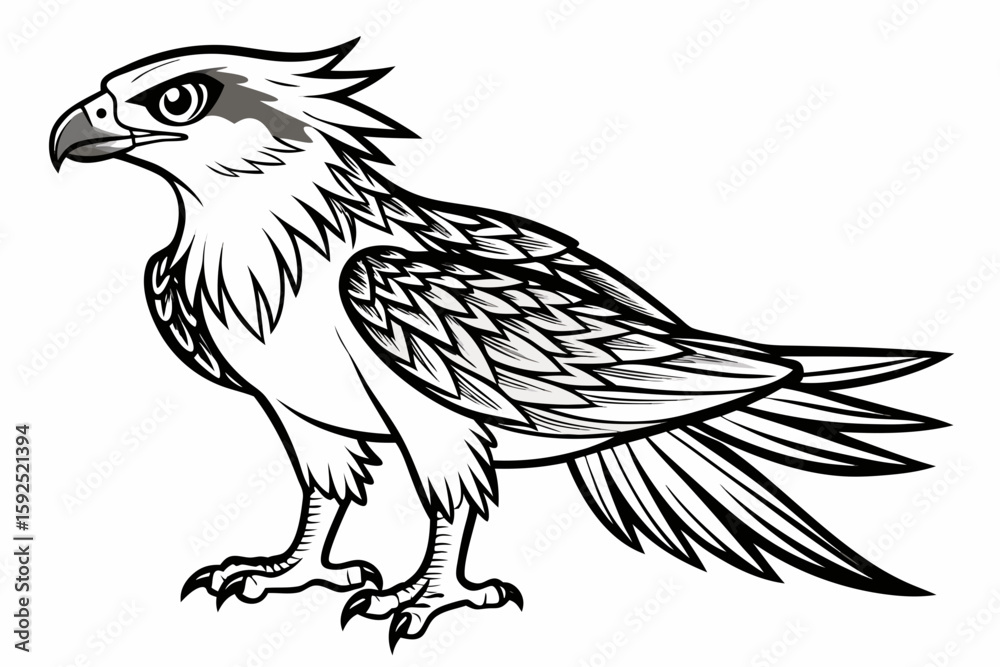 Fototapeta premium coloring page line art the osprey black vector