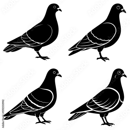 Four stylized black pigeons in various poses against a white background in a simple vector graphic style