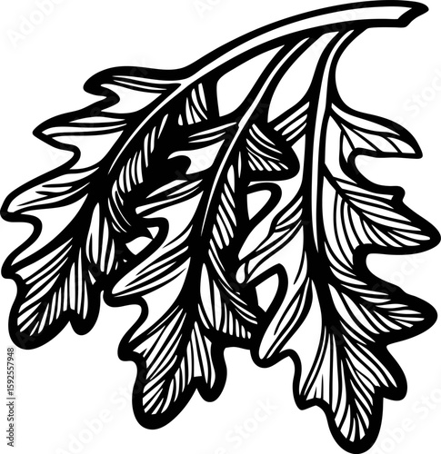 Hand drawn oak leaf branch illustration with intricate detailed veins and layered foliage in vintage engraving
