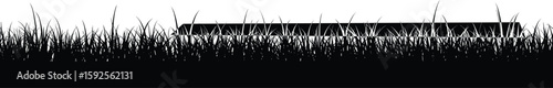ilhouette of wild grass, hidden object concept, black and white vector, nature background, outdoor design, abstract landscape, environment art