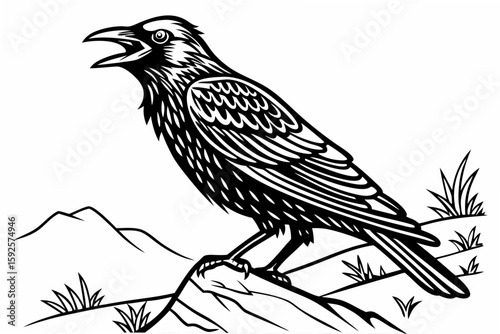 coloring page line art the lark bird black vector