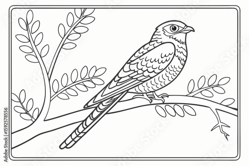 coloring page line art the nightjar black vector