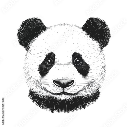 Hand-drawn panda face sketch on white