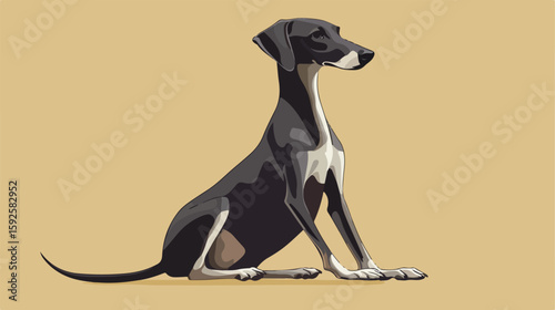Greyhound Dog Sitting Flat Vector Icon
