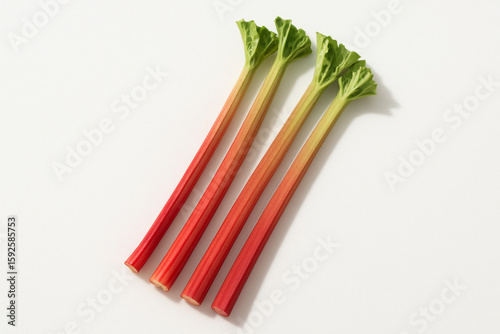 Overhead View: Fresh Rhubarb on Seamless White for Culinary Mockup