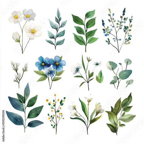 Watercolor Floral and Foliage Collection Depicting Delicate Blooms and Greenery