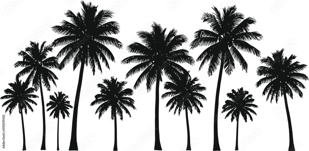 Fototapeta premium Silhouetted palm trees against a tropical sky evoke summer beach vacations and island nature