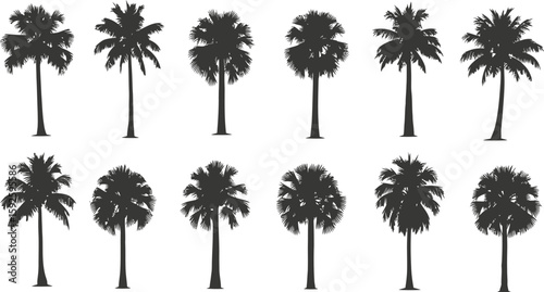 A tropical beach sunset with palm tree silhouettes, a perfect summer vacation illustration