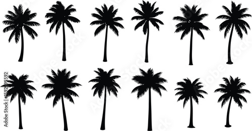 A tropical beach sunset with palm tree silhouettes, a perfect summer vacation illustration