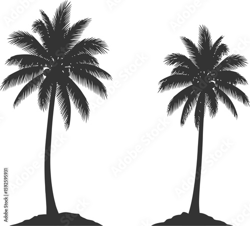 Tropical island sunset with palm tree silhouettes on a sandy beach