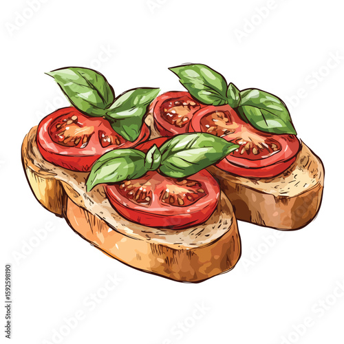 Bruschetta Sketch Tomato Basil Ingredients