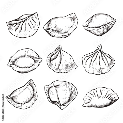 Dumpling Sketch on White Background