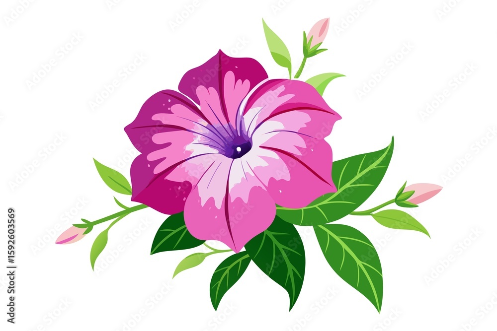 Obraz premium Watercolor Painting Of A Flowering Petunia illustration on white background