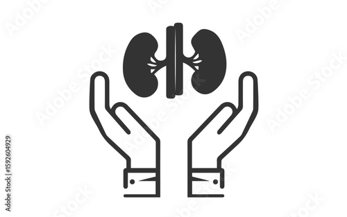 Two hand protecting kidney image, png protecting hands of a kidney