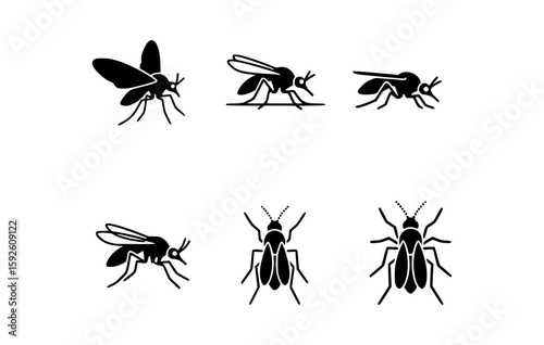 A gnat insect icon illustration, showcasing various poses of a small fly against a simple background. The silhouettes emphasize the intricate details of the insect's wings, body and legs.
