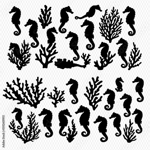 A collection of black silhouette illustrations featuring seahorses and coral in various poses and arrangements against a white background.