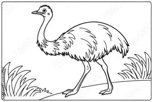 coloring page line art the emu bird black vector