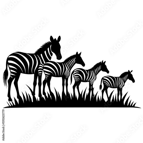 Silhouette of a zebra herd grazing in black