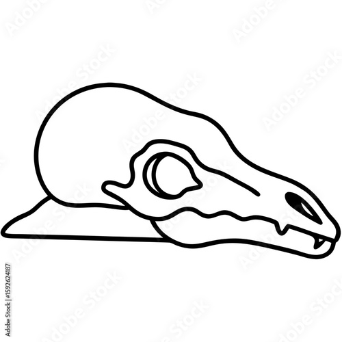 Black line art of an animal skull resting on the ground