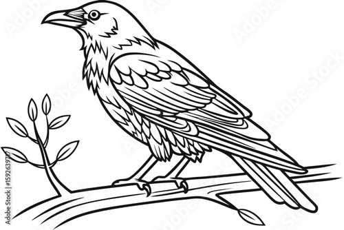coloring page line art the thrush black vector