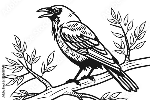 coloring page line art the thrush black vector