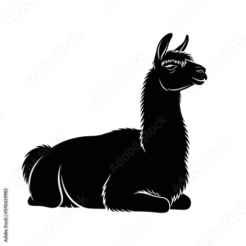 Black silhouette of a llama lying down on a white background illustration