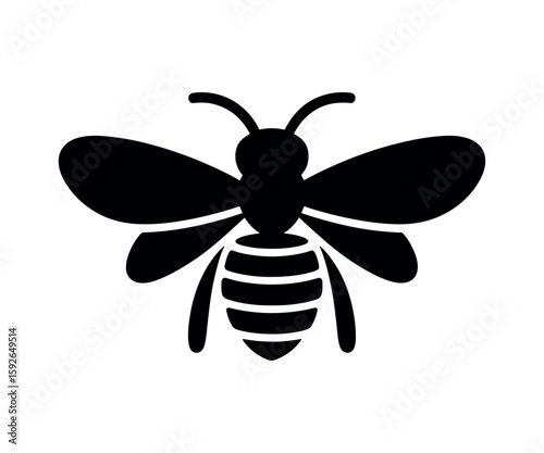 bee vector illustration on white background