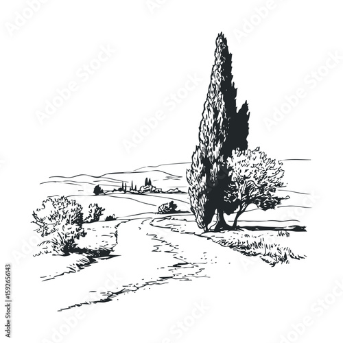 Serene landscape with winding road and tall trees in Tuscany hills