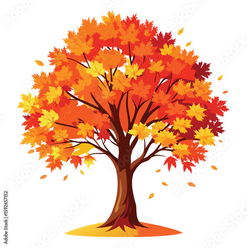 A magnificent vibrant autumn maple tree blazing with fiery red and orange leaves, showcasing the dramatic beauty of fall.