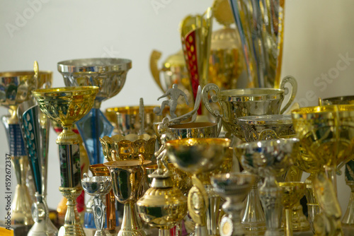 Quadro su tela A large collection of trophies is carefully stacked on top of each other upon a