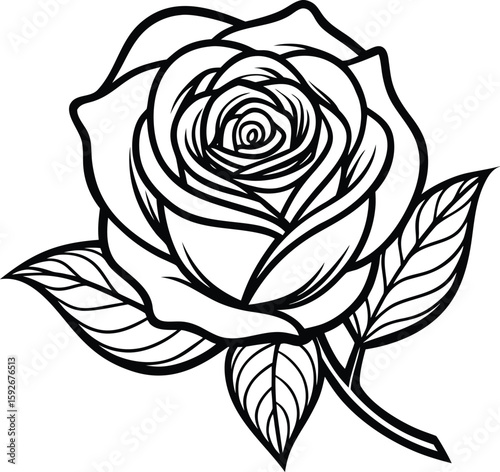 Wallpaper Mural Elegant rose flower outline for coloring and design projects Torontodigital.ca