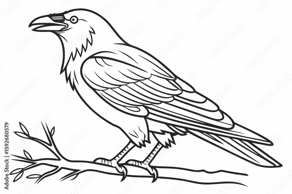 Fototapeta premium coloring page line art the crow black vector