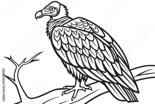 coloring page line art the vulture black vector