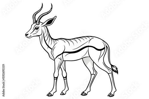 coloring pageline art the springbok black vector