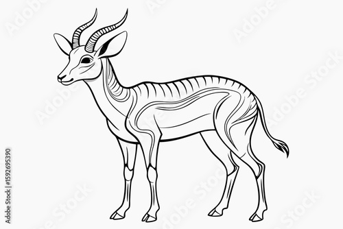 coloring pageline art the springbok black vector