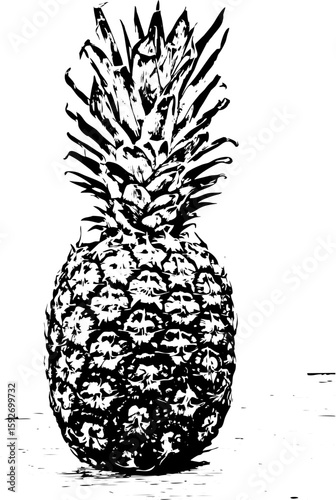 Pine-apple